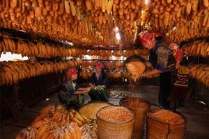 Ethnie Vietnam