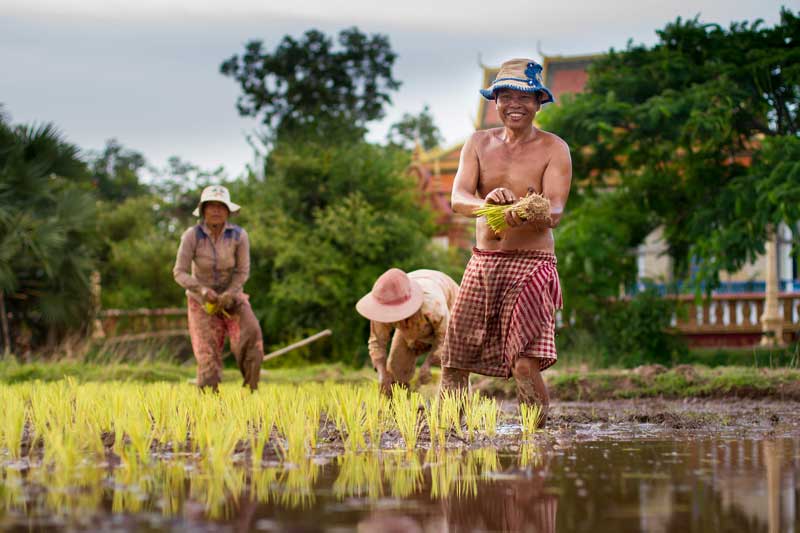 Découverte de l’île Koh Trong lors d’un séjour chez l’habitant