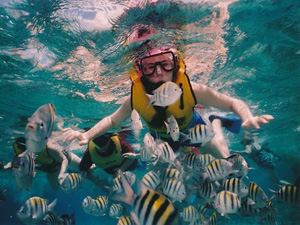 Faire de la plongée sous-marine ou du « snorkeling »