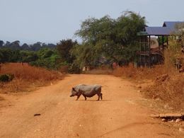 Ratanakiri