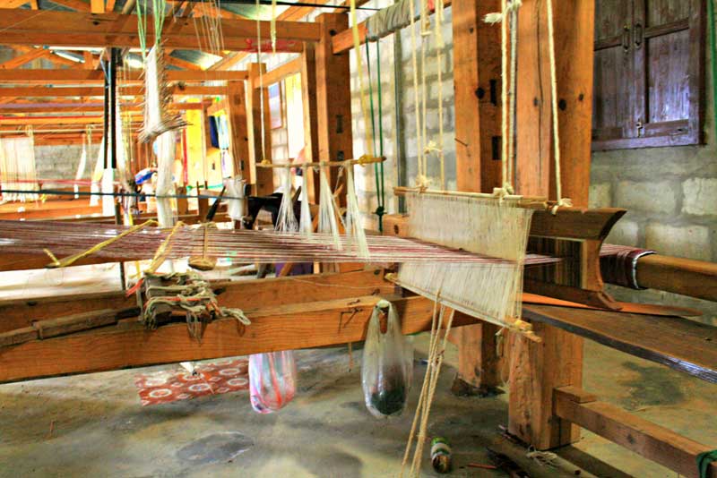 Ferme de soie organique