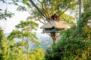 Randonnées pédestres dans le parc national de Nam Ha
