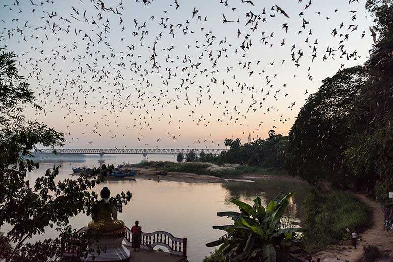 Grotte des chauves-souris