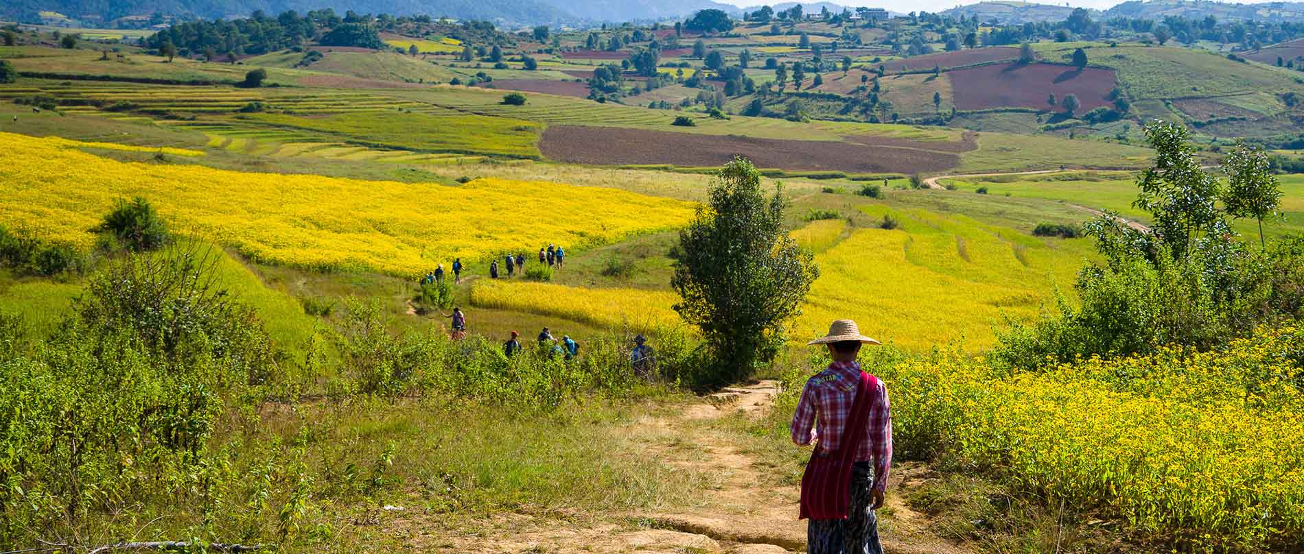 Kalaw, le meilleur endroit pour faire du trekking en Birmanie