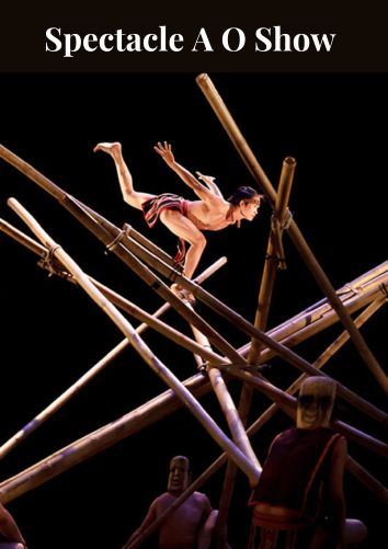Le spectacle A O Show