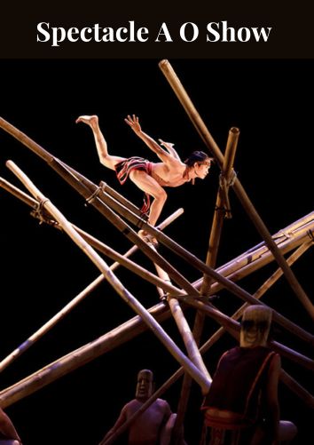 Le spectacle A O Show