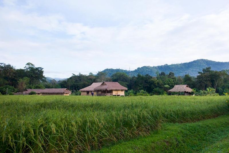 lisu lodge niché en plain nature