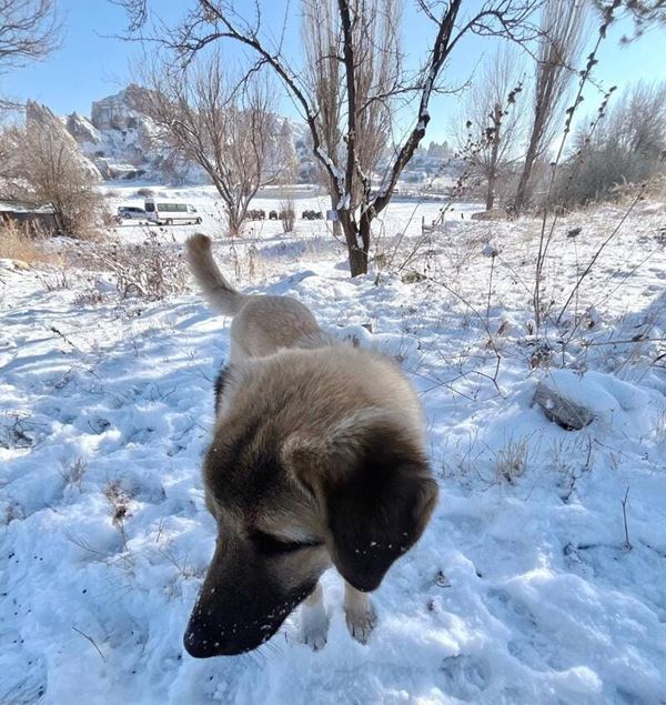 Bonjour depuis la Turquie