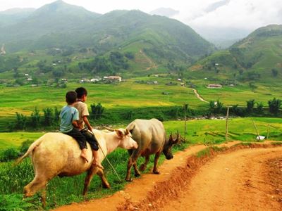 Quand partir au Vietnam ?