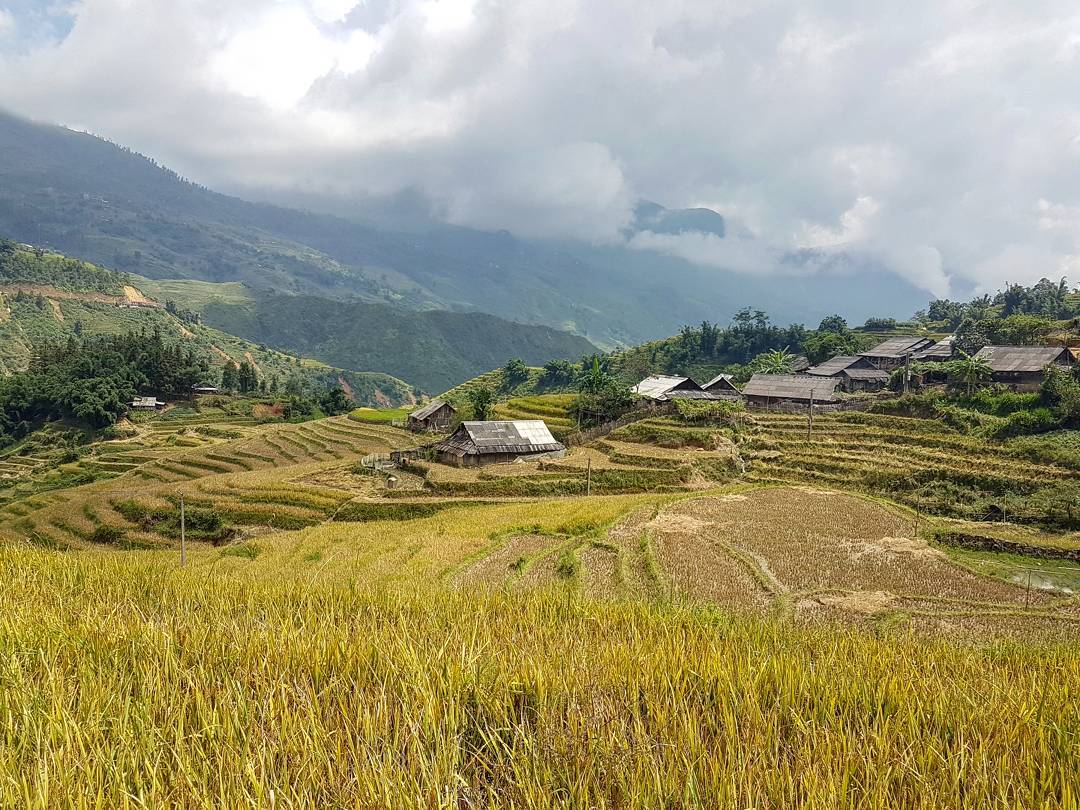 Sapa trek