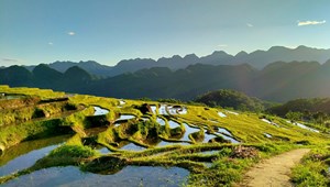 Les rizières en terrasse à Pu Luong