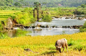 Paysages naturels à Pu Luong