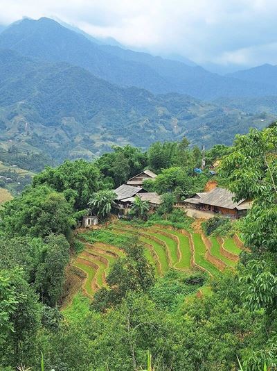 Paysages au Nord du Vietnam