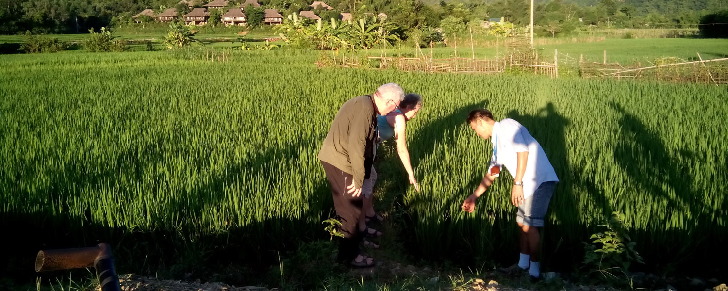 Guide francophone Vietnam