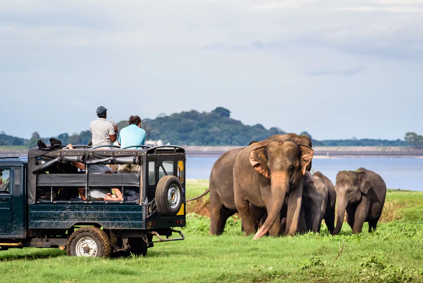 Sri Lanka en 15 jours : une aventure multi-activités inoubliable