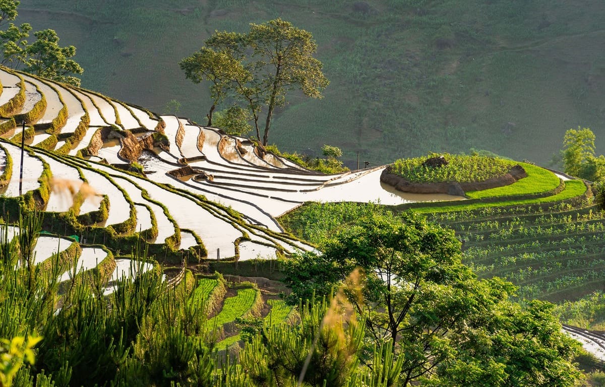 Voyage de luxe Vietnam: Entre nature, ethnies, croisière et découvertes
