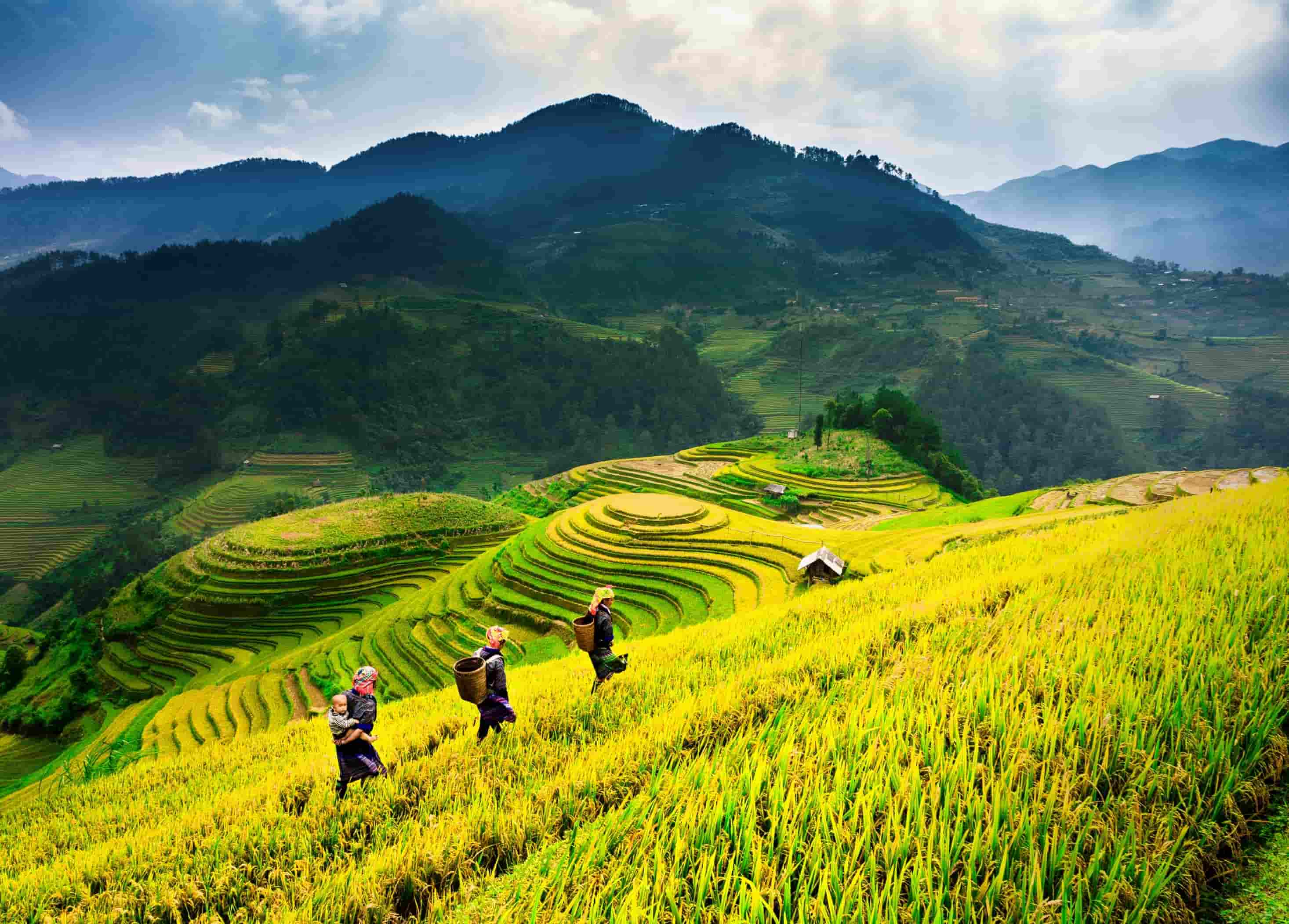 Circuit Bac Ha - Sapa