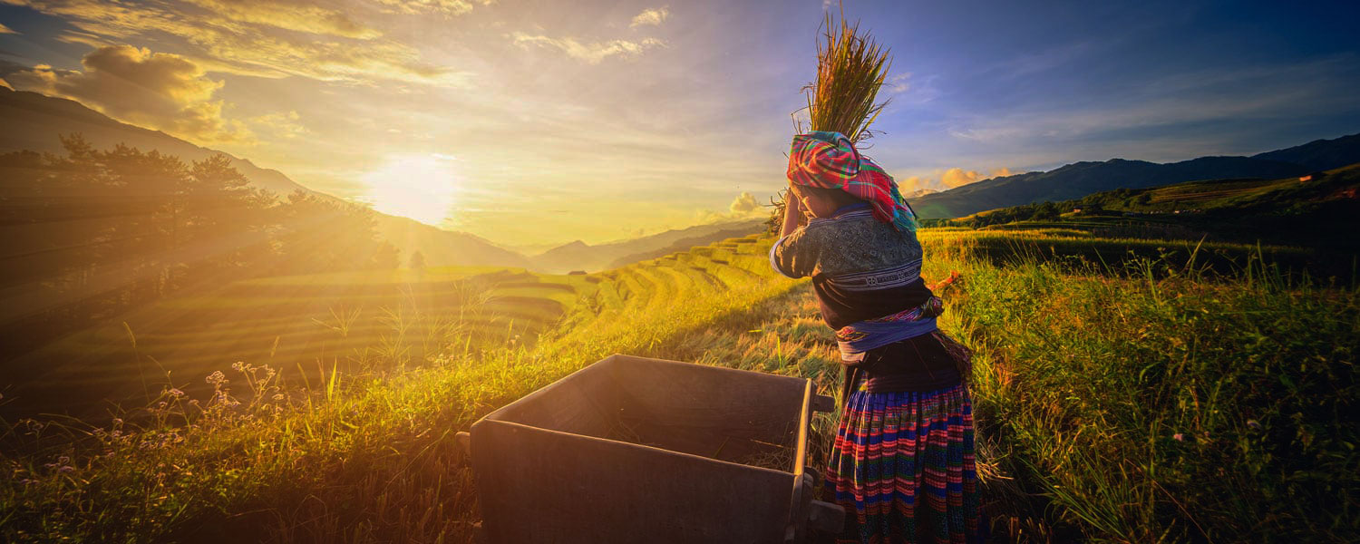 Au pays des Thaïs & Hmong 7 jours