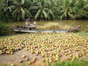 Ben Tre