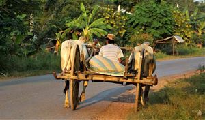 Vie quotidienne, Cambodge