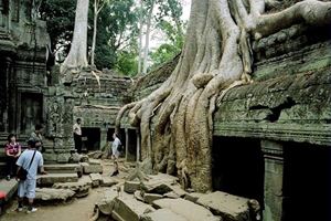 Temple Ta Prohm