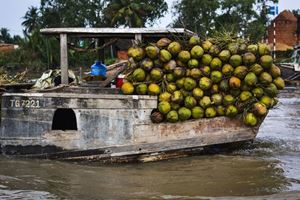 Commerce de coconuts à Ben Tre, Vietnam