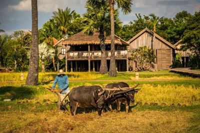 Circuit au Cambodge en 15 jours
