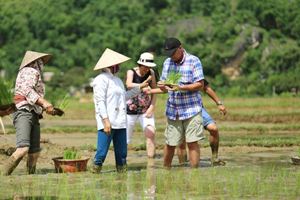 Découverte la campagne vietnamienne