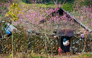 Dong Van, Ha Giang