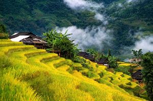 Rizières en terrasse, Ha Giang