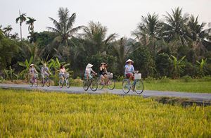 Ballade à velo dans la campagne de Hoi An 