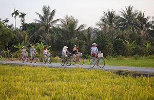 Balade à vélo à la campagne paisible à Hoi An 