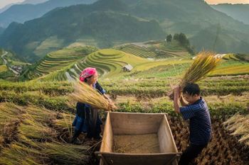 Grande traversée du Vietnam 21 jours