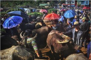 Marché des ethnies, Bac Ha