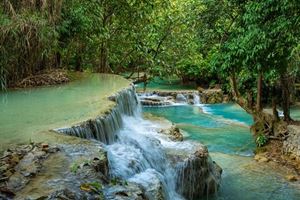 Les chutes de Kuang Si, un spectacle naturel aux eaux turquoise