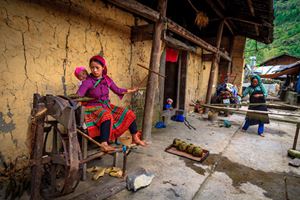 Lolo noirs à Ha Giang