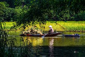 Paysages de la baie d'halong terrestre Ninh Binh 