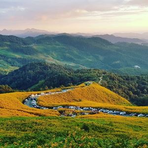 Paysage paisible de Chiang Mai