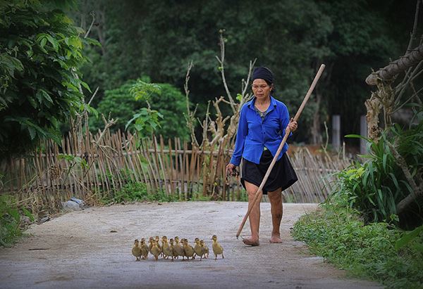 Une scène de vie quotidienne à Ha Giang 