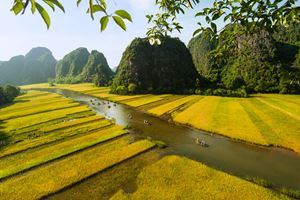 Baie d'Halong terrestre Ninh Binh