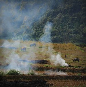 Des paysages paisibles à Bac Ha