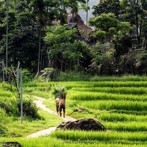 Puluong, Nord Vietnam 