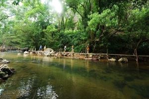 Randonnée à travers des forêts luxuriants