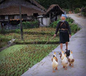 Une scène de vie quotidienne à Ha Giang 