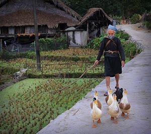 Vie quotidienne, Ha Giang