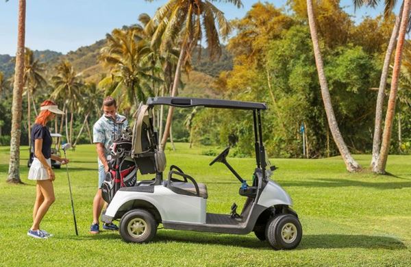 Nos voyageurs golfeurs