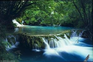 Parc national de Bach Ma