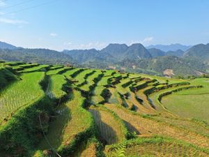 Les rizières en terrasses au Nord du Vietnam